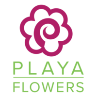 Playa del Rey Florist