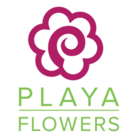 Playa del Rey Florist