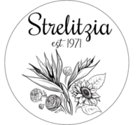 Strelitzia Flower Company
